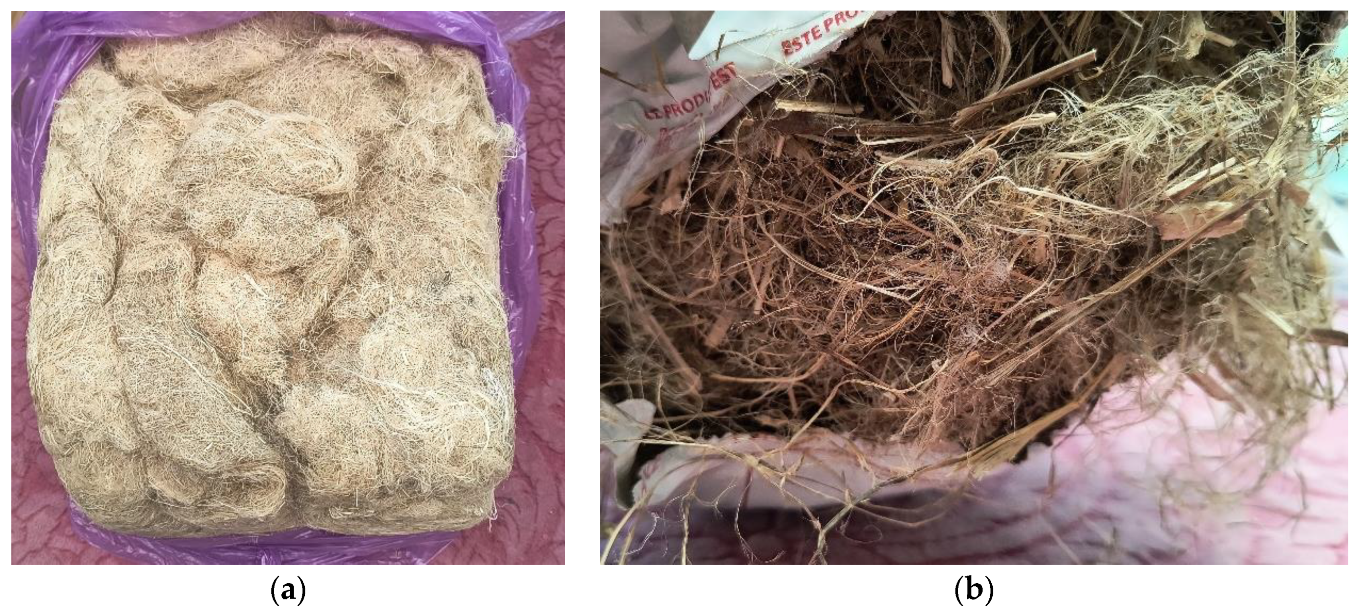 Materials 17 04871 g003