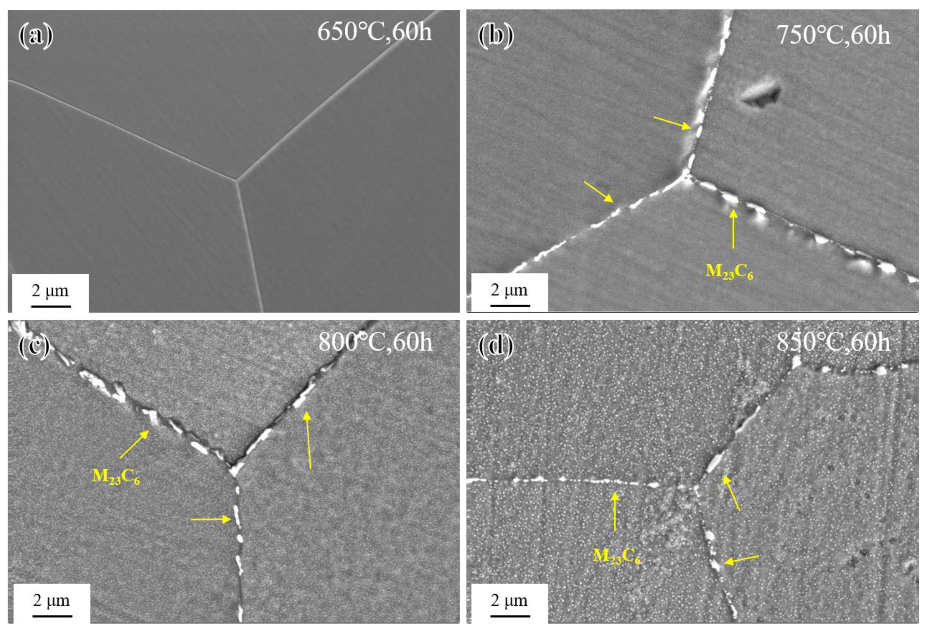 Materials 17 04875 g007