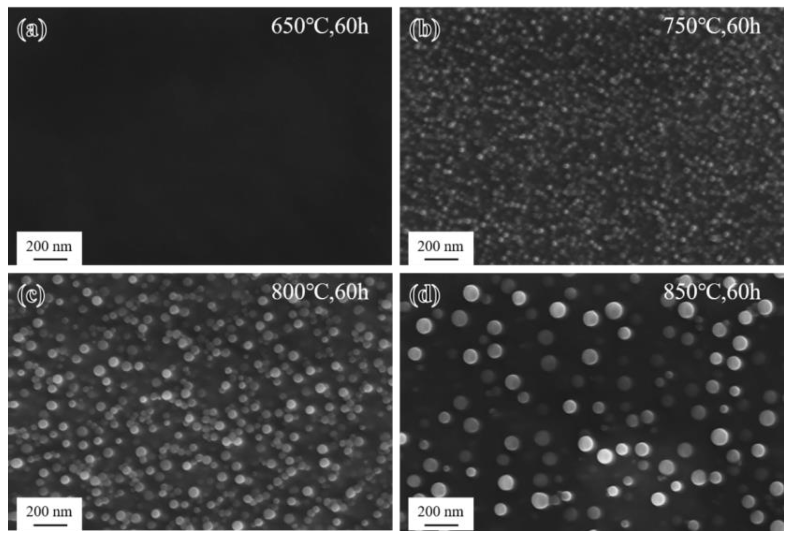 Materials 17 04875 g009