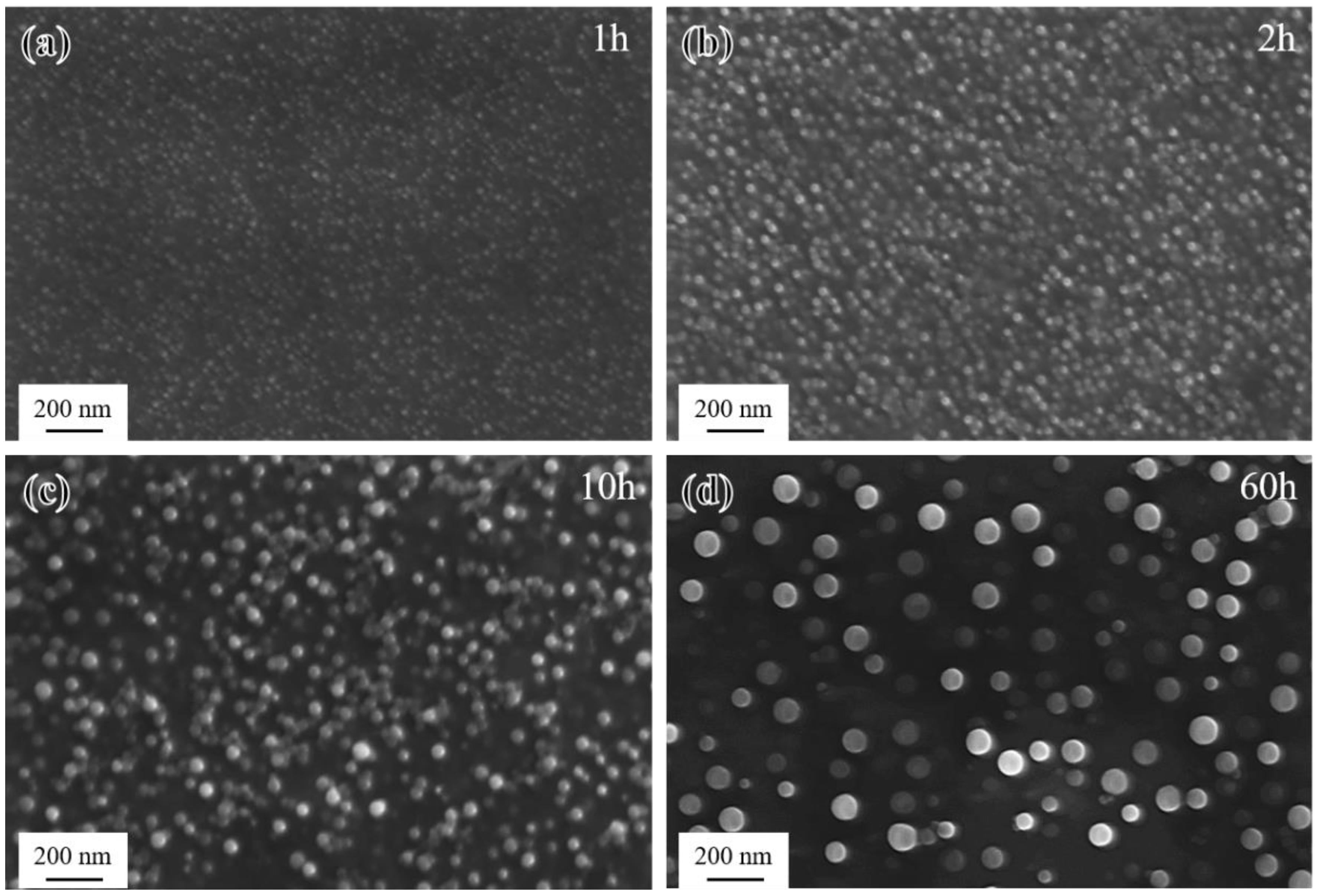 Materials 17 04875 g011