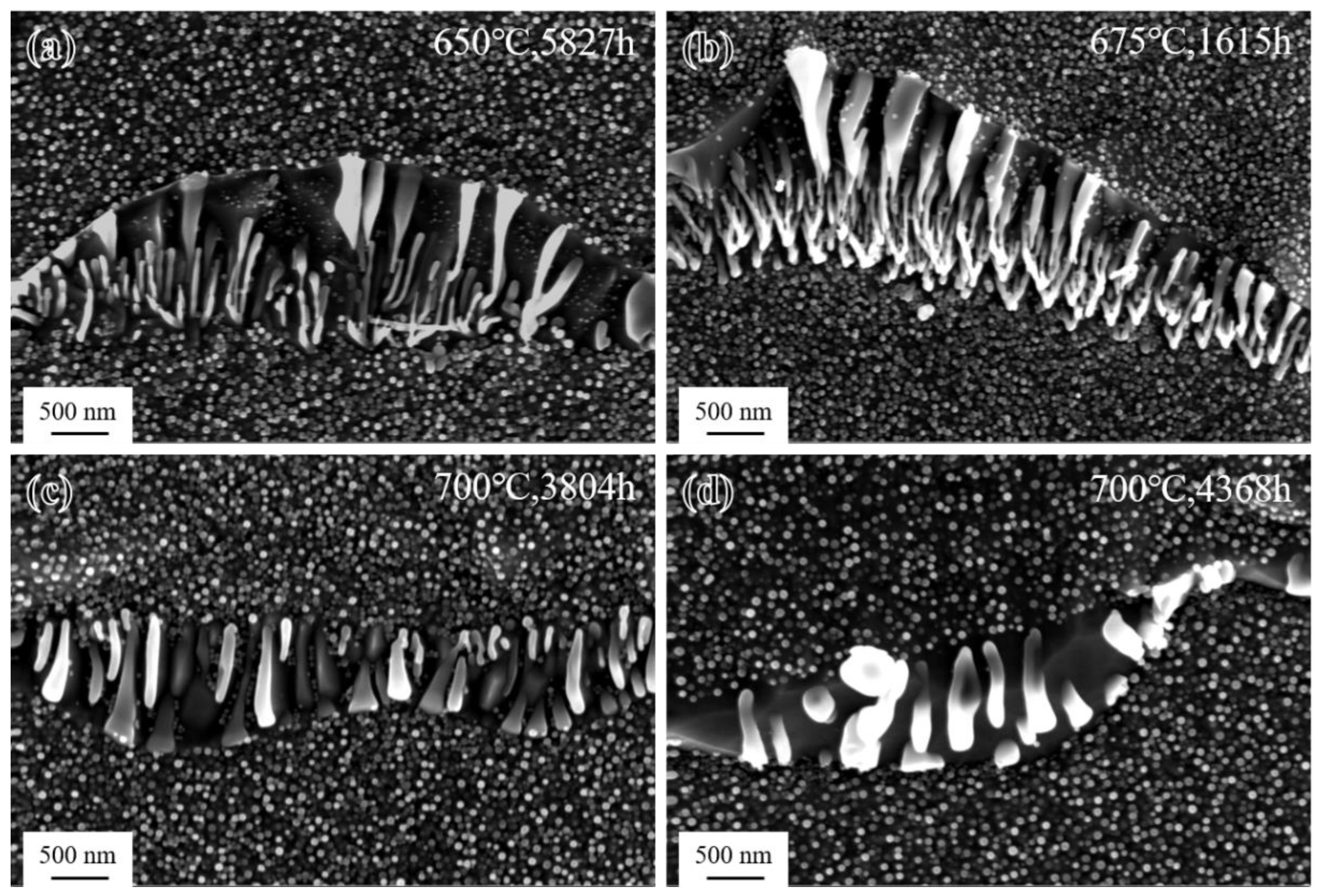 Materials 17 04875 g014
