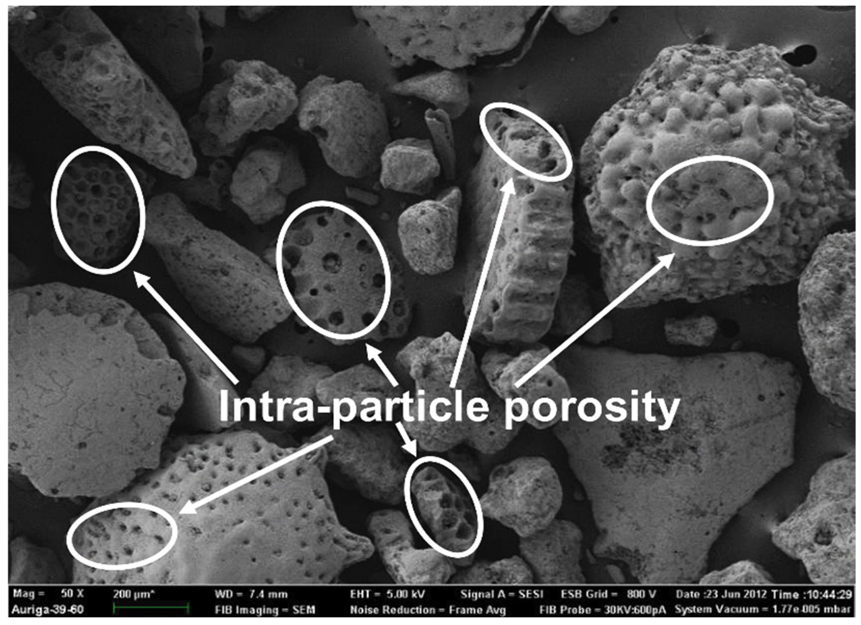 Materials 17 04892 g010