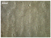 Materials 17 04898 i006