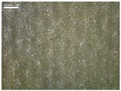 Materials 17 04898 i007