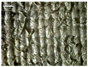 Materials 17 04898 i010