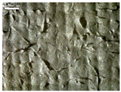 Materials 17 04898 i012