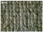 Materials 17 04898 i016