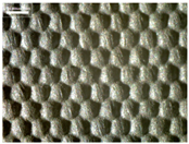 Materials 17 04898 i021