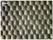 Materials 17 04898 i025