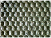 Materials 17 04898 i026