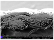 Materials 17 04898 i052