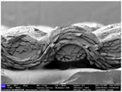 Materials 17 04898 i058