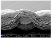 Materials 17 04898 i060