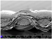 Materials 17 04898 i063