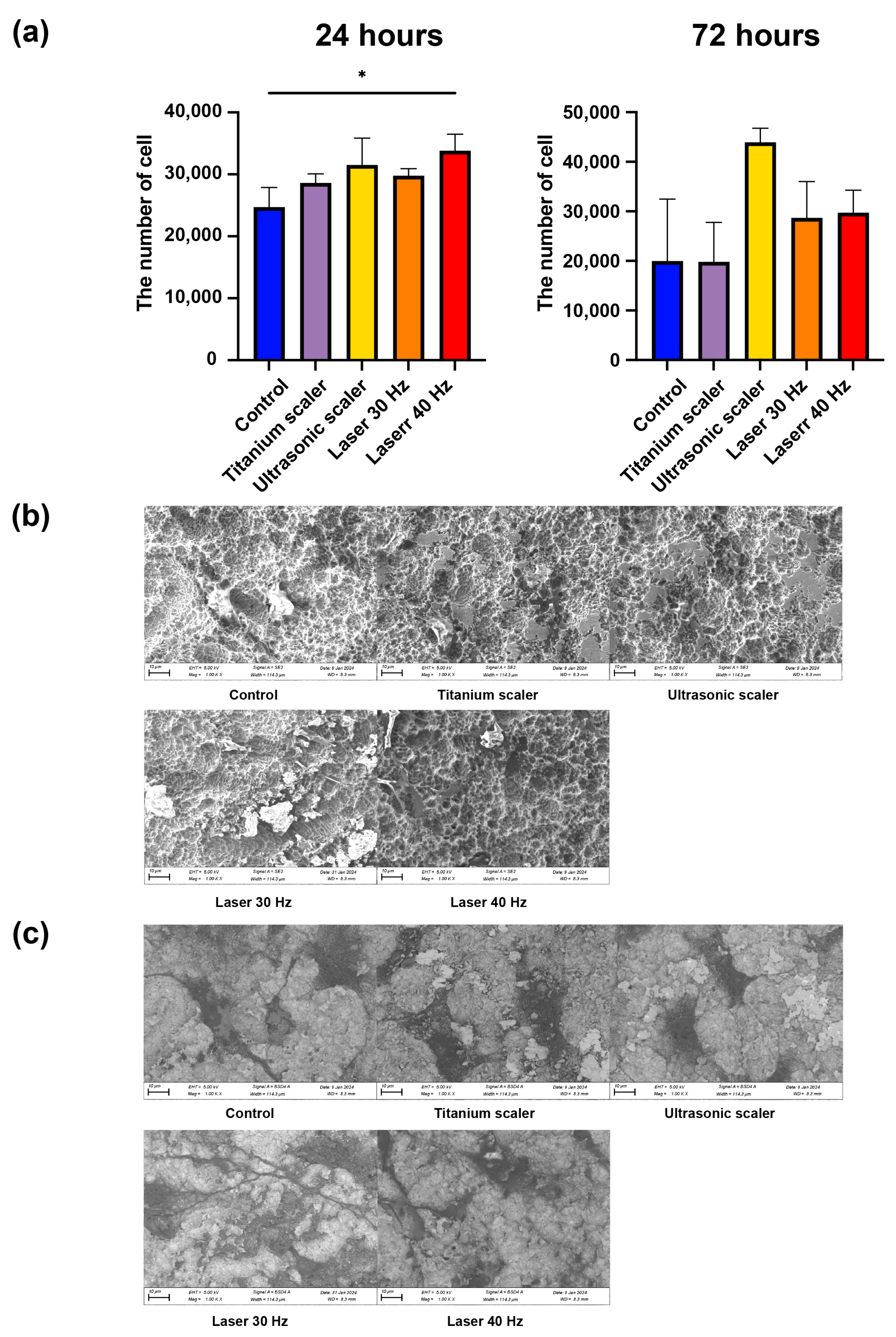 Materials 17 04899 g006