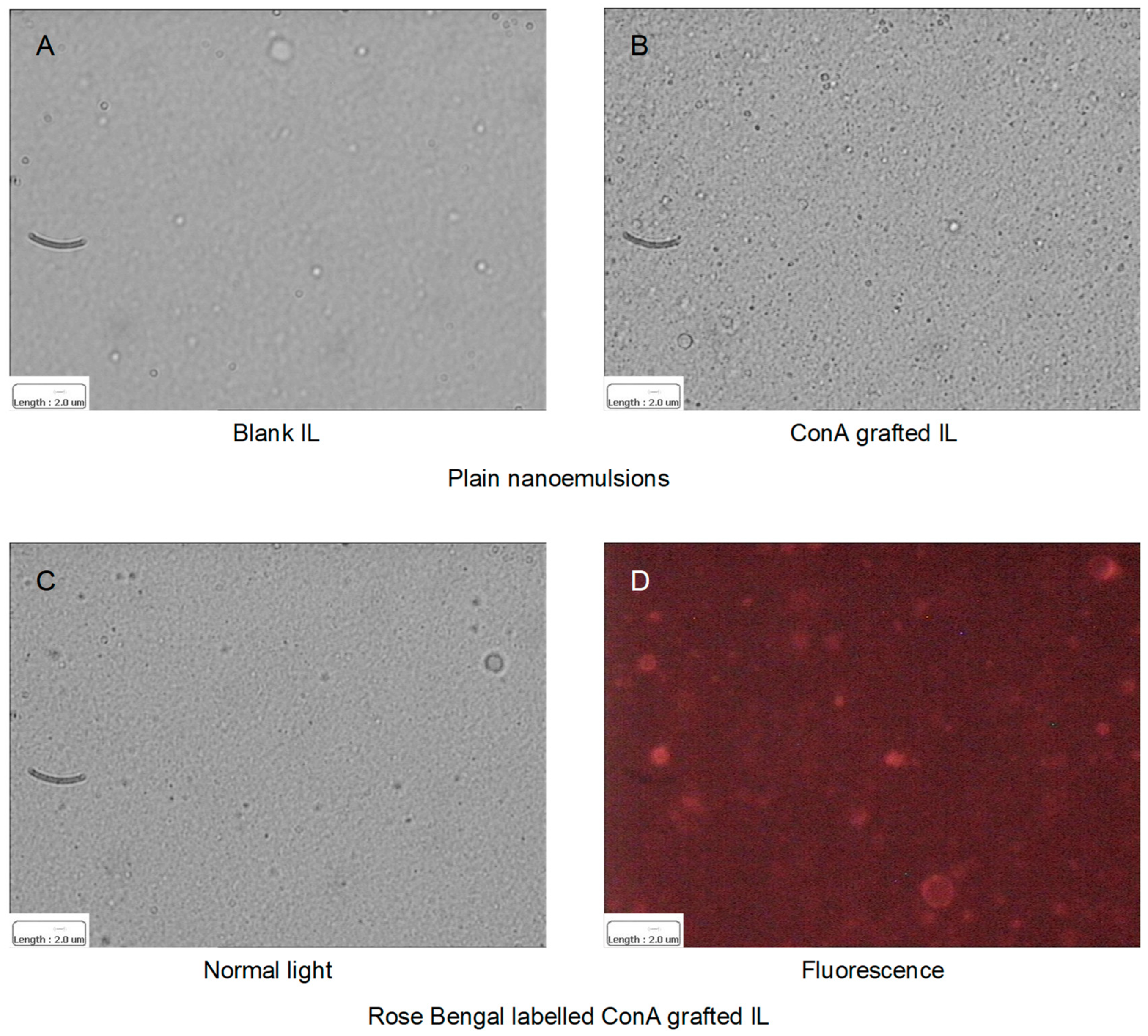 Materials 17 04959 g003