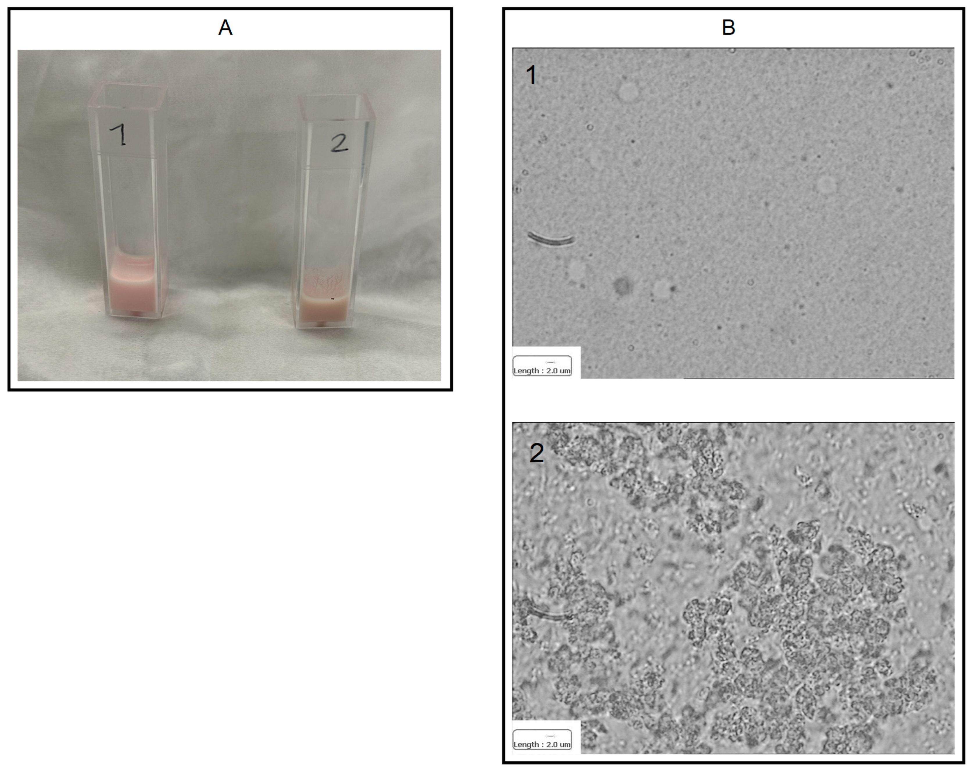 Materials 17 04959 g004