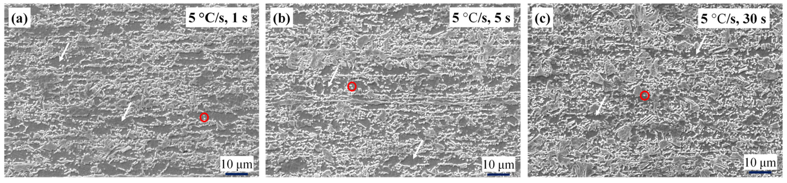 Materials 17 04982 g004a Materials 17 04982 g004a
