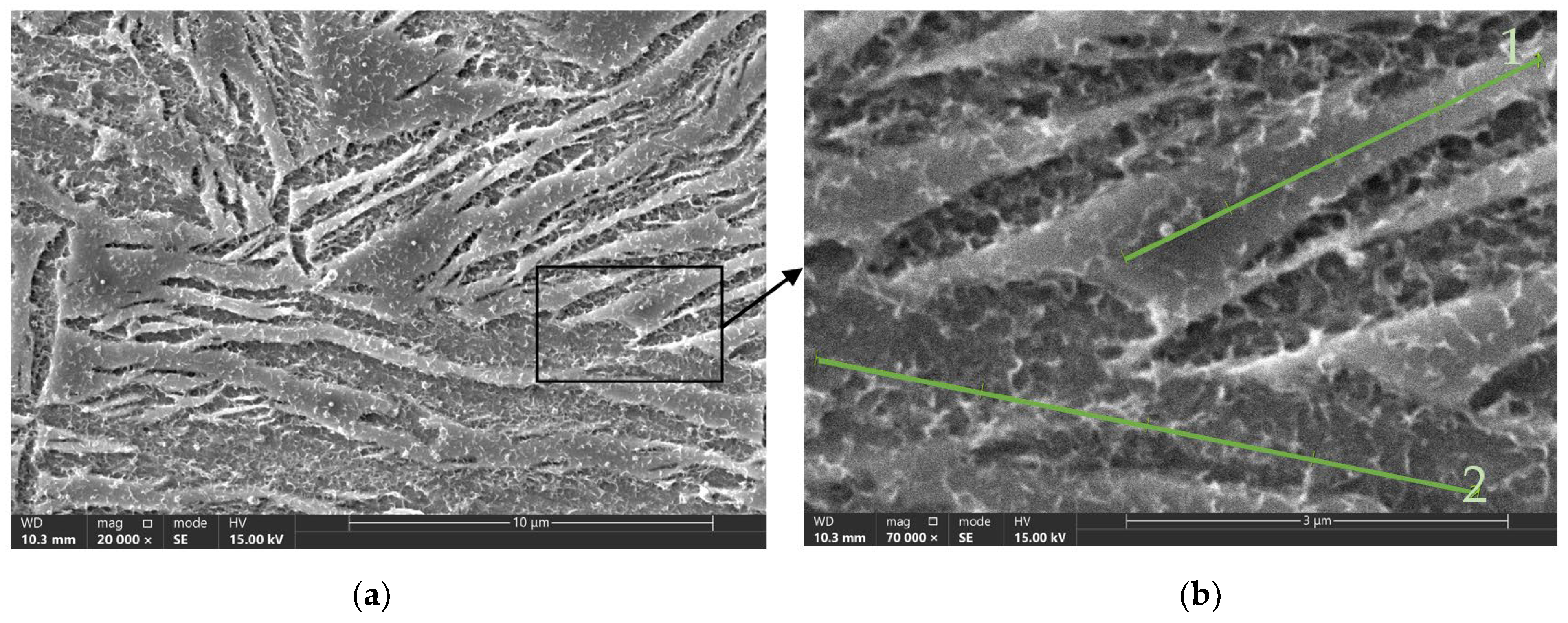 Materials 17 05024 g005 Materials 17 05024 g005