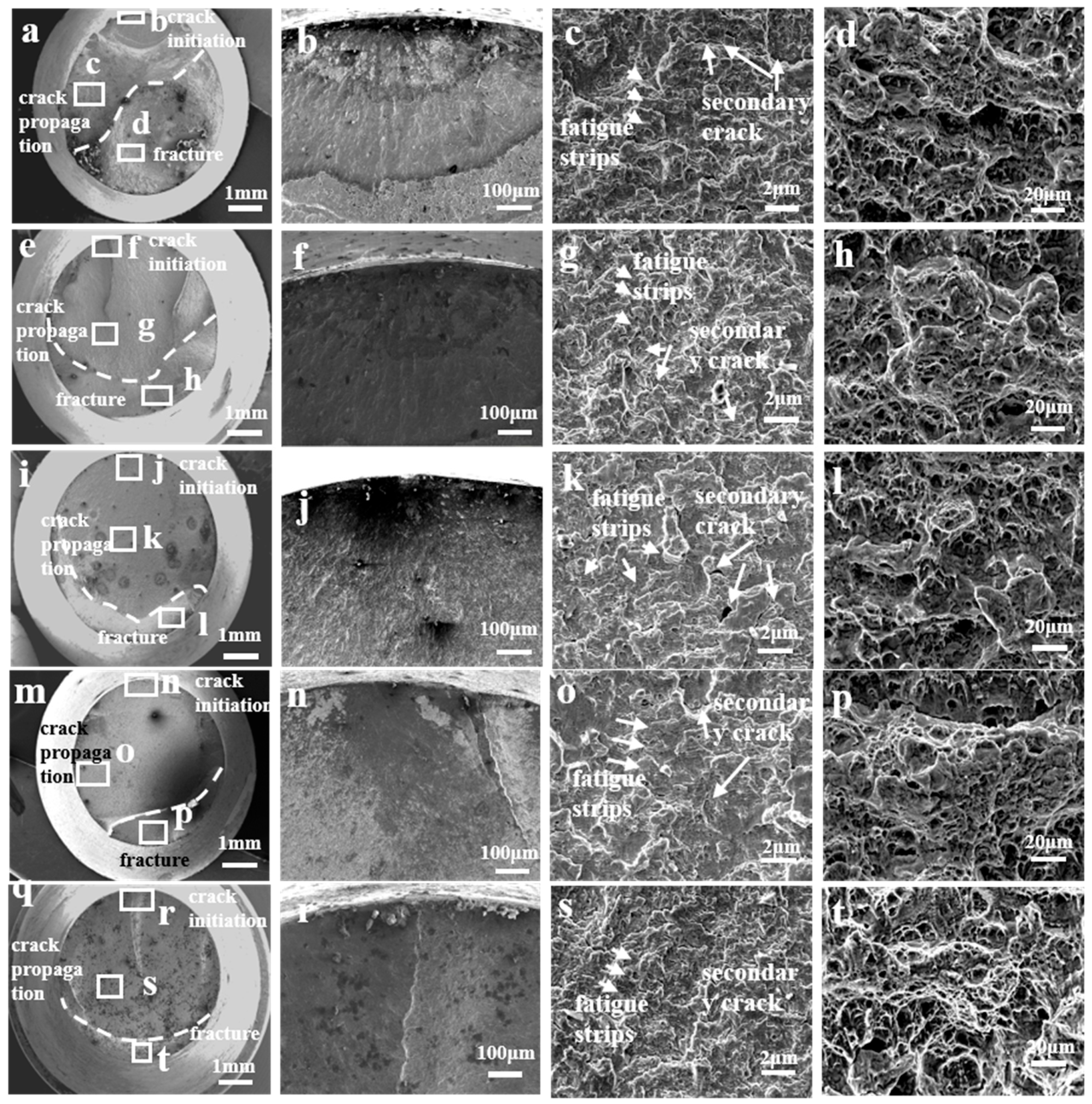 Materials 17 05025 g007