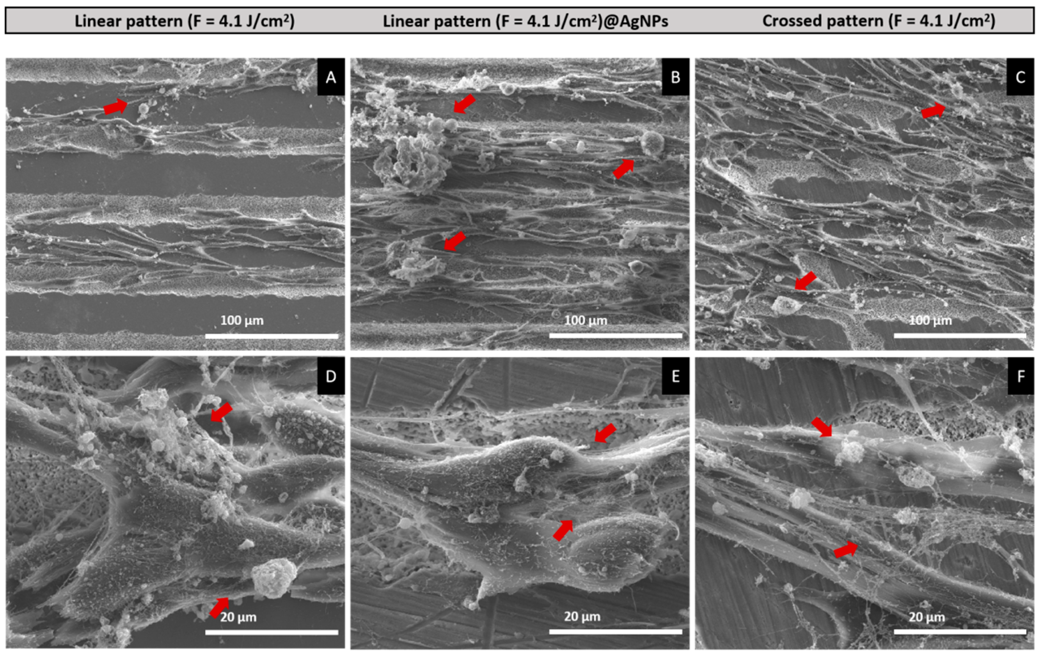 Materials 17 05057 g011