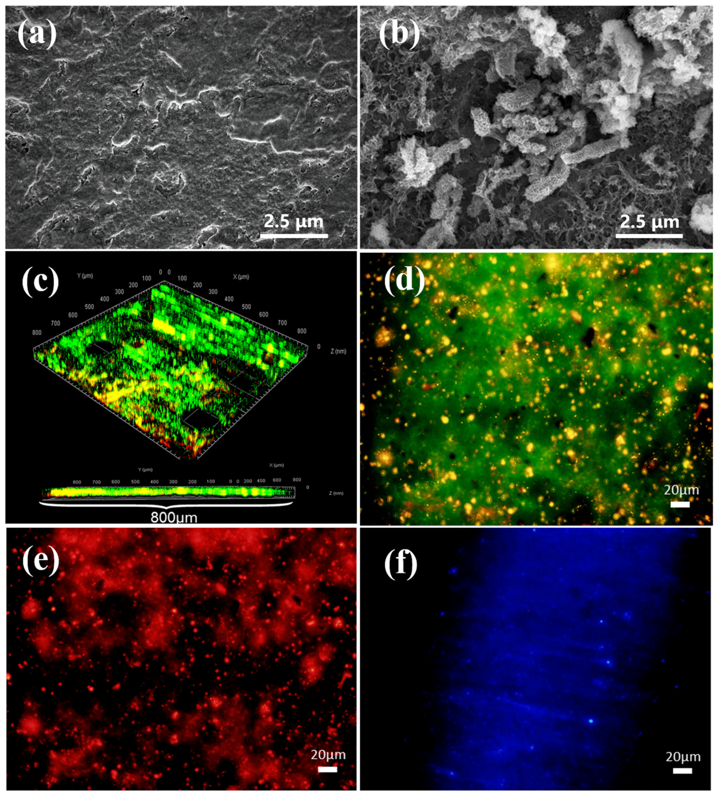 Materials 17 05060 g001