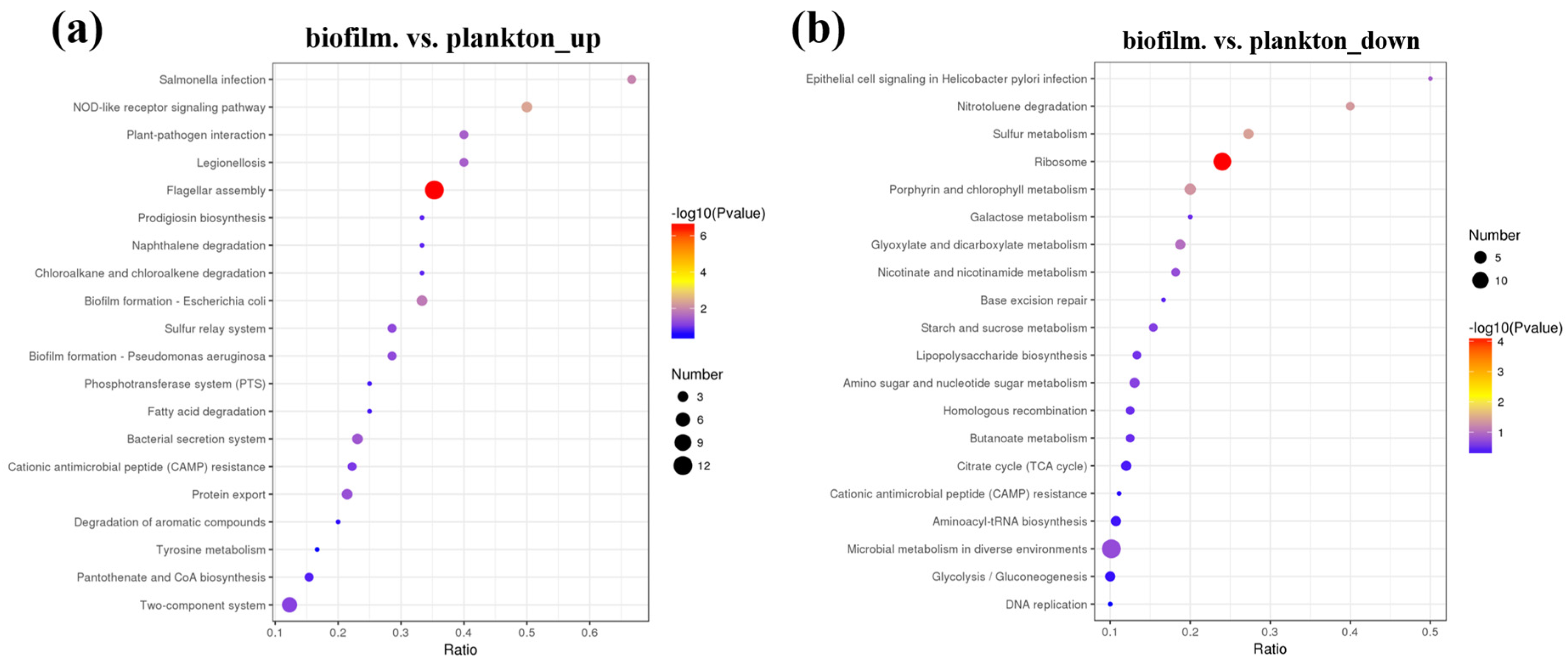 Materials 17 05060 g006