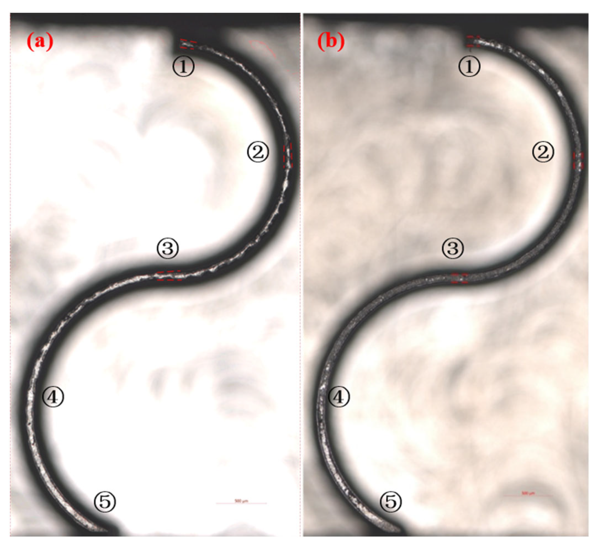 Materials 17 05071 g012