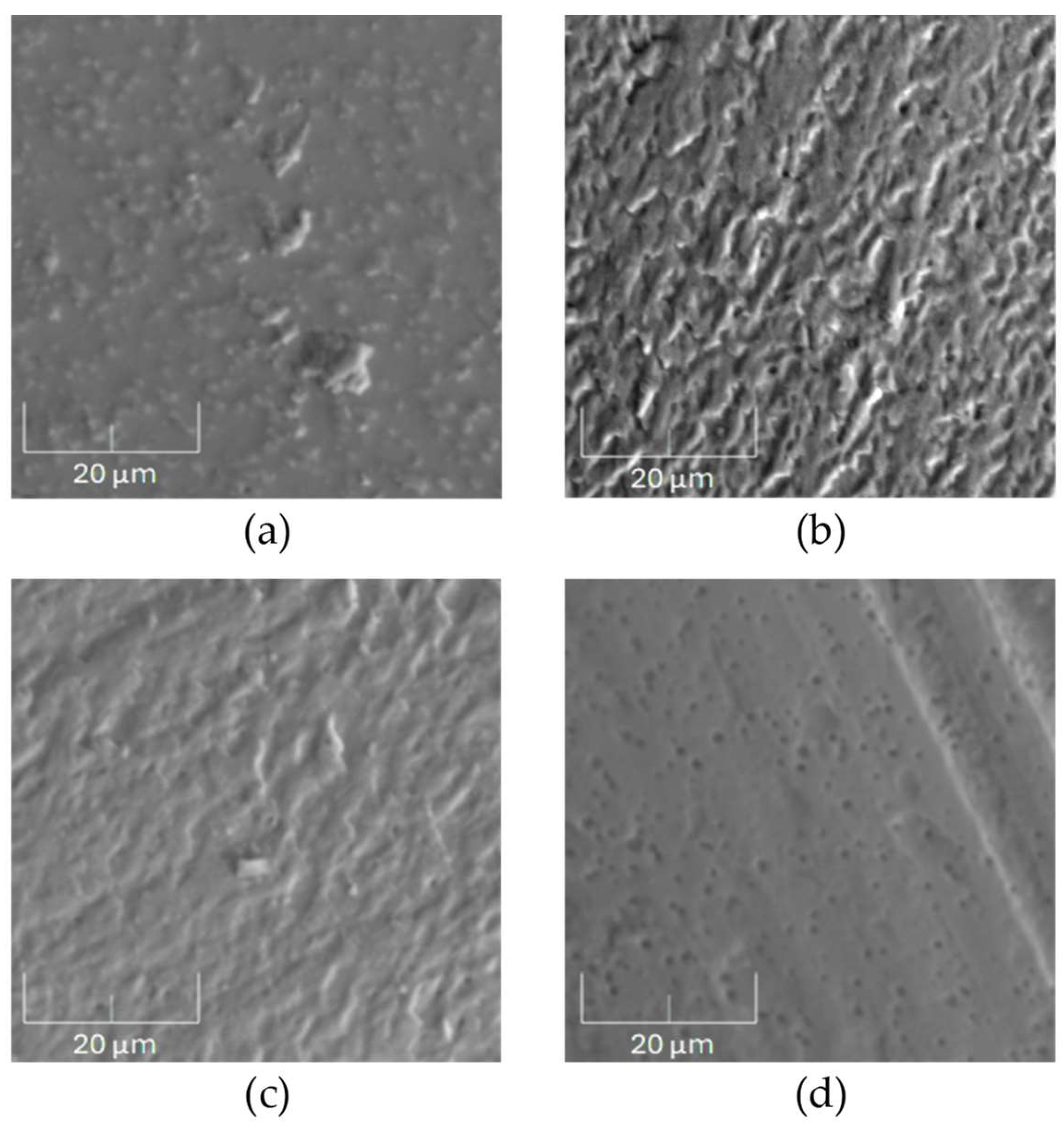 Materials 17 05094 g010