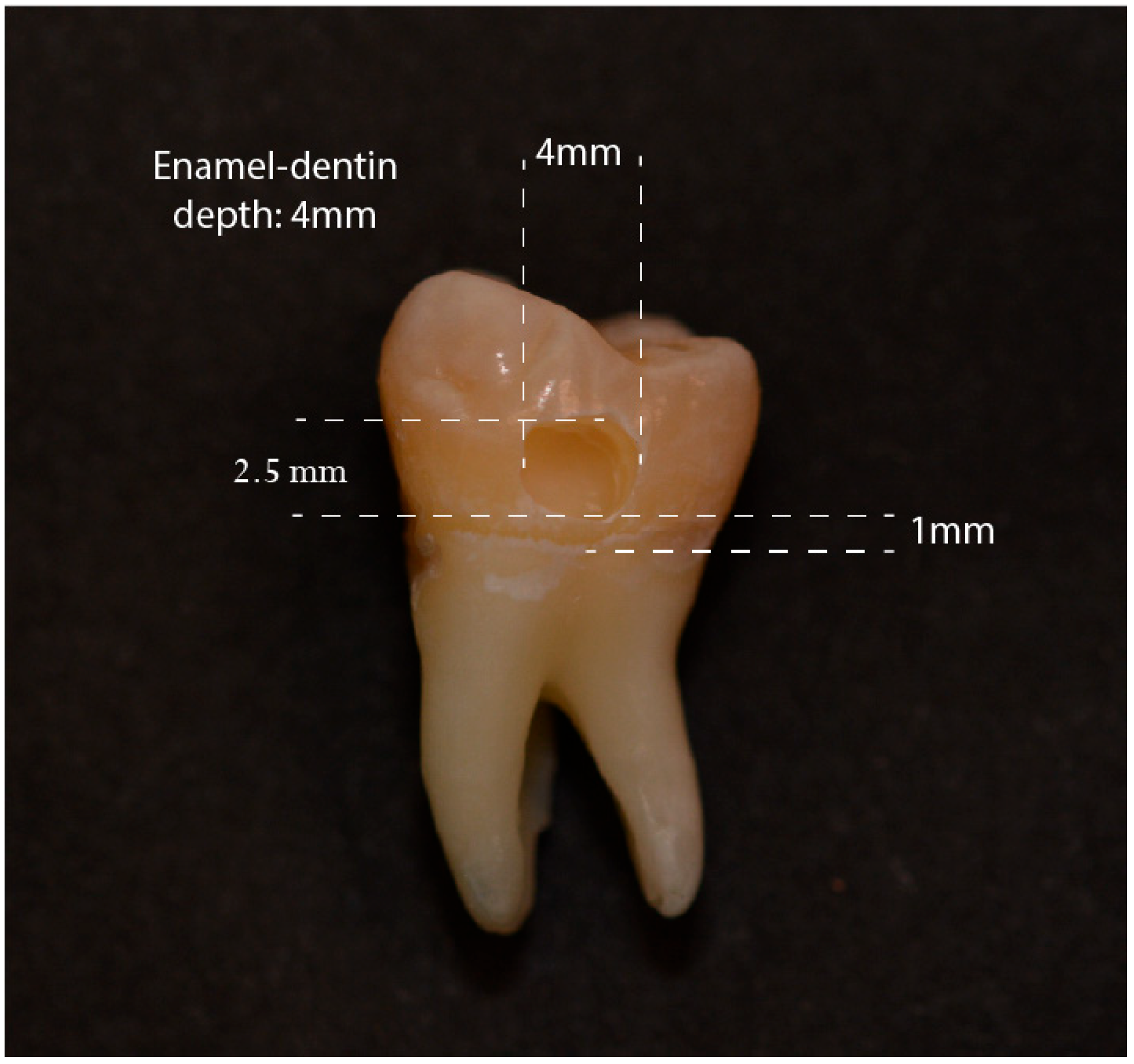 Materials 17 05103 g001