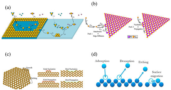Materials 17 05131 g005
