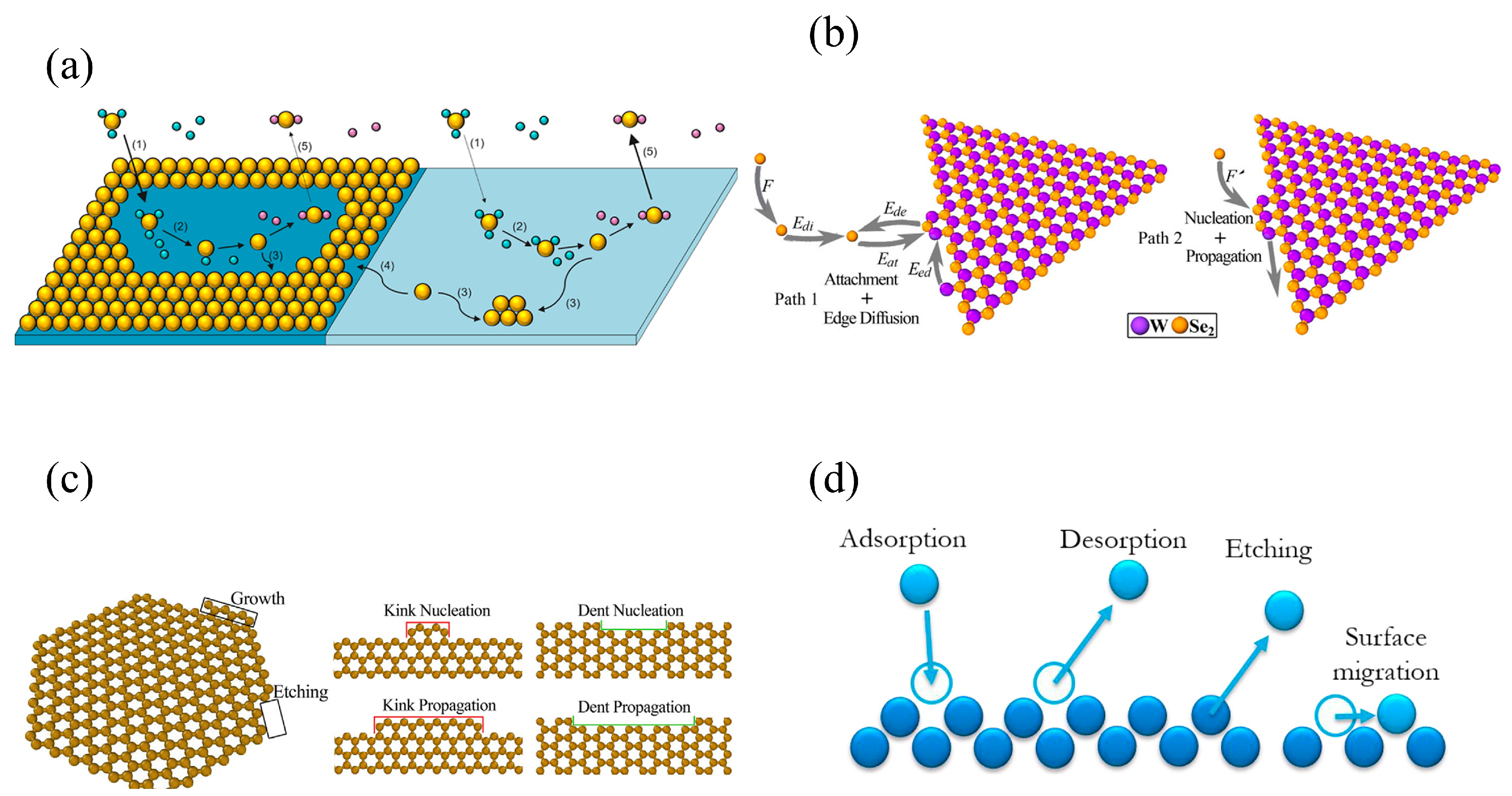 Materials 17 05131 g005