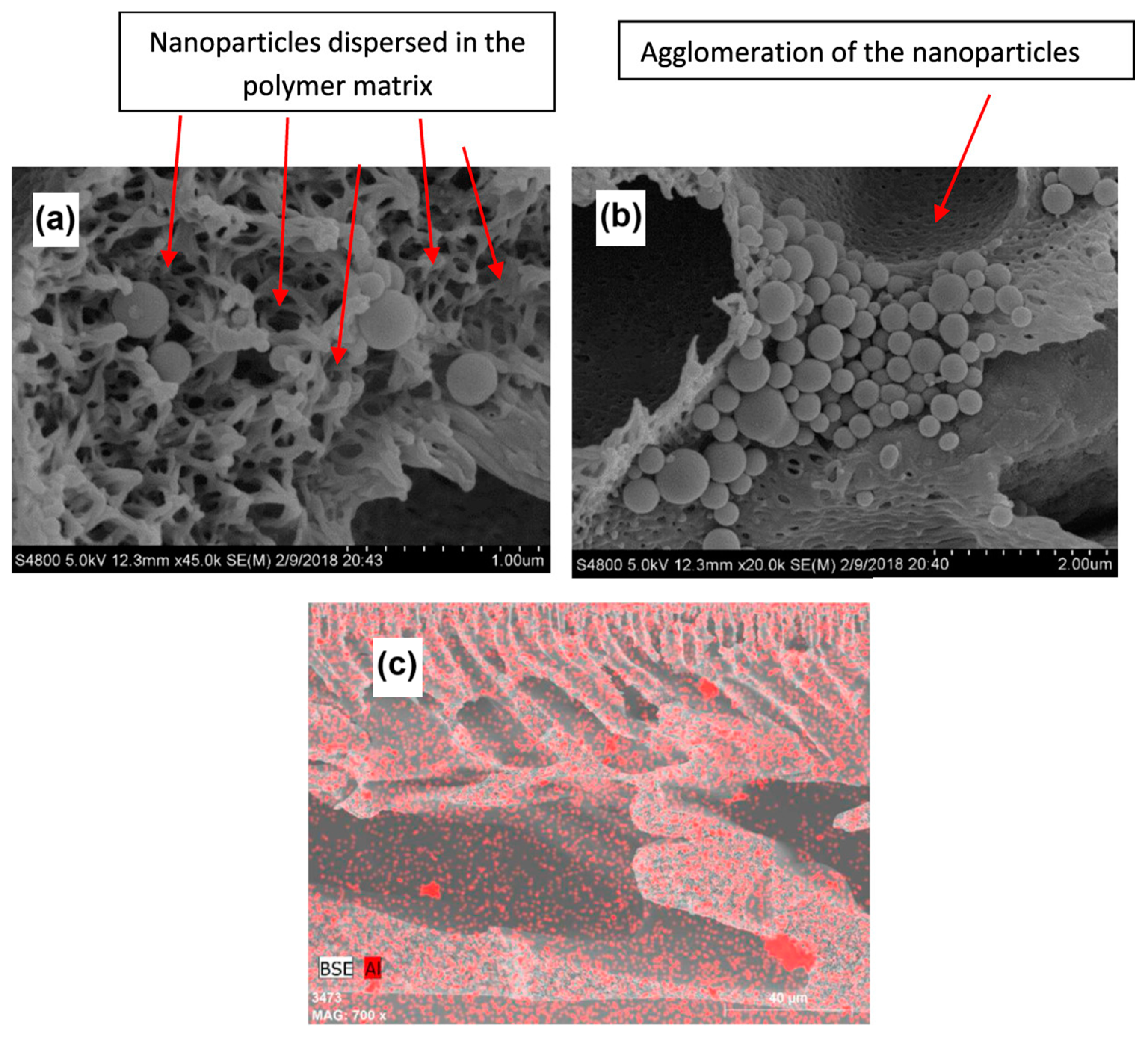 Materials 17 05141 g004