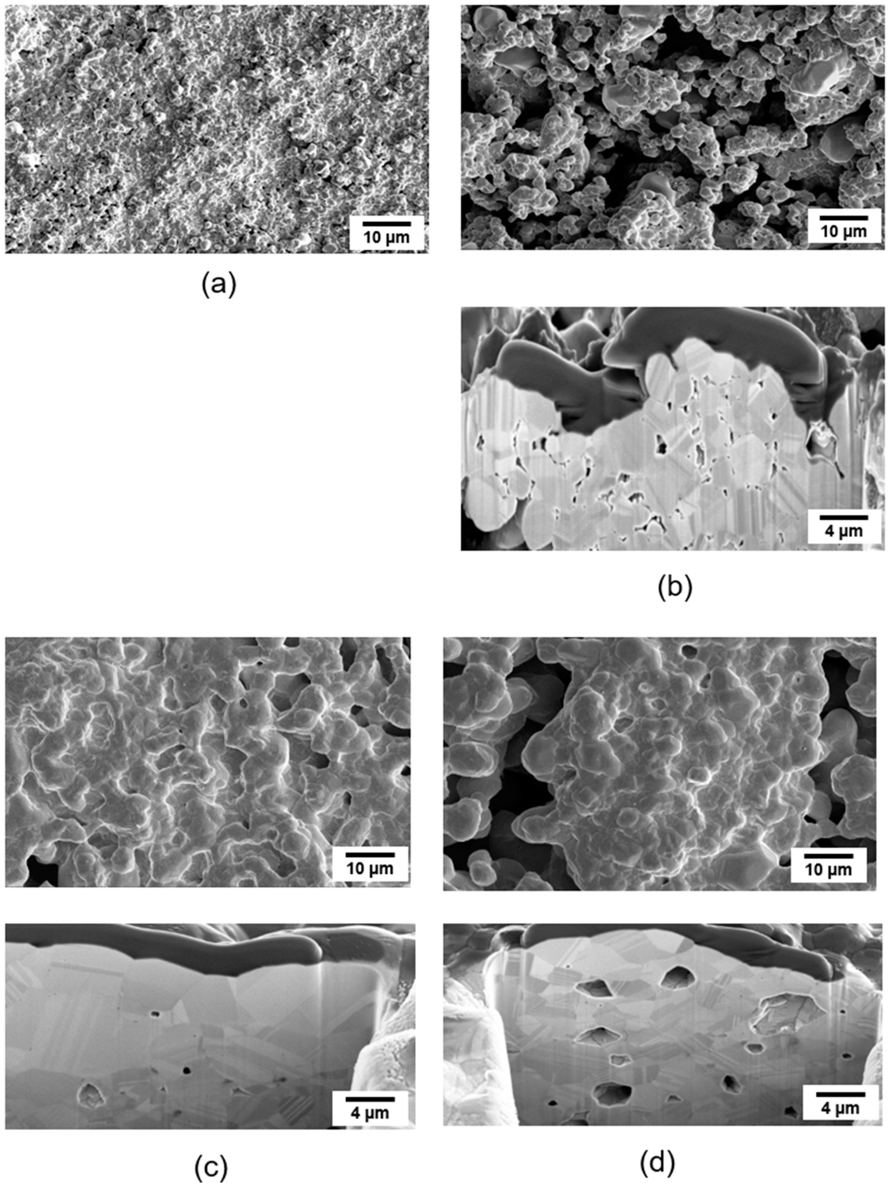 Materials 17 05142 g007