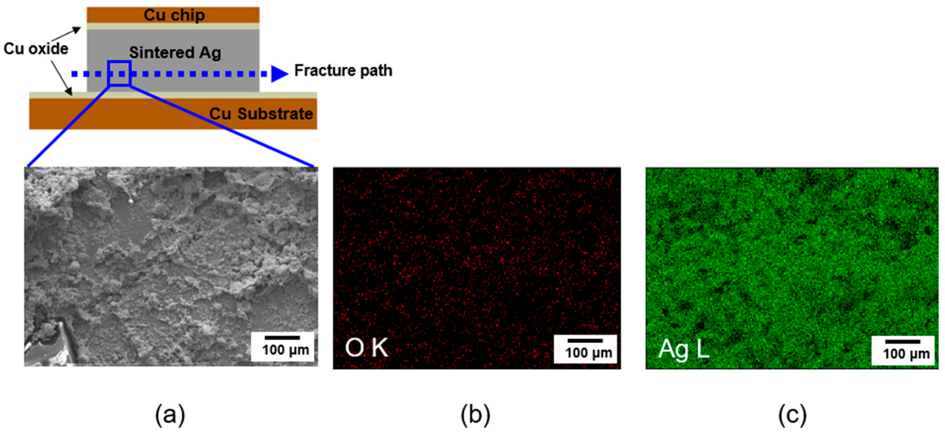 Materials 17 05142 g011