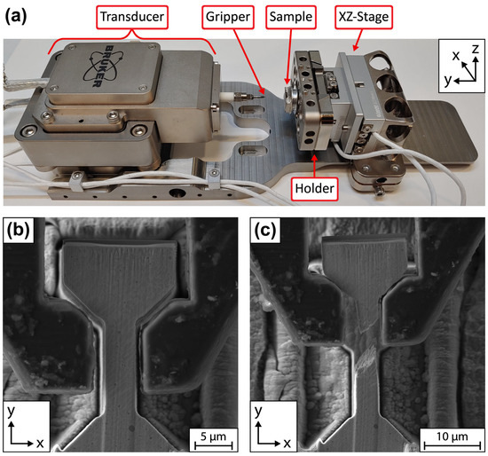Materials 17 05144 g006