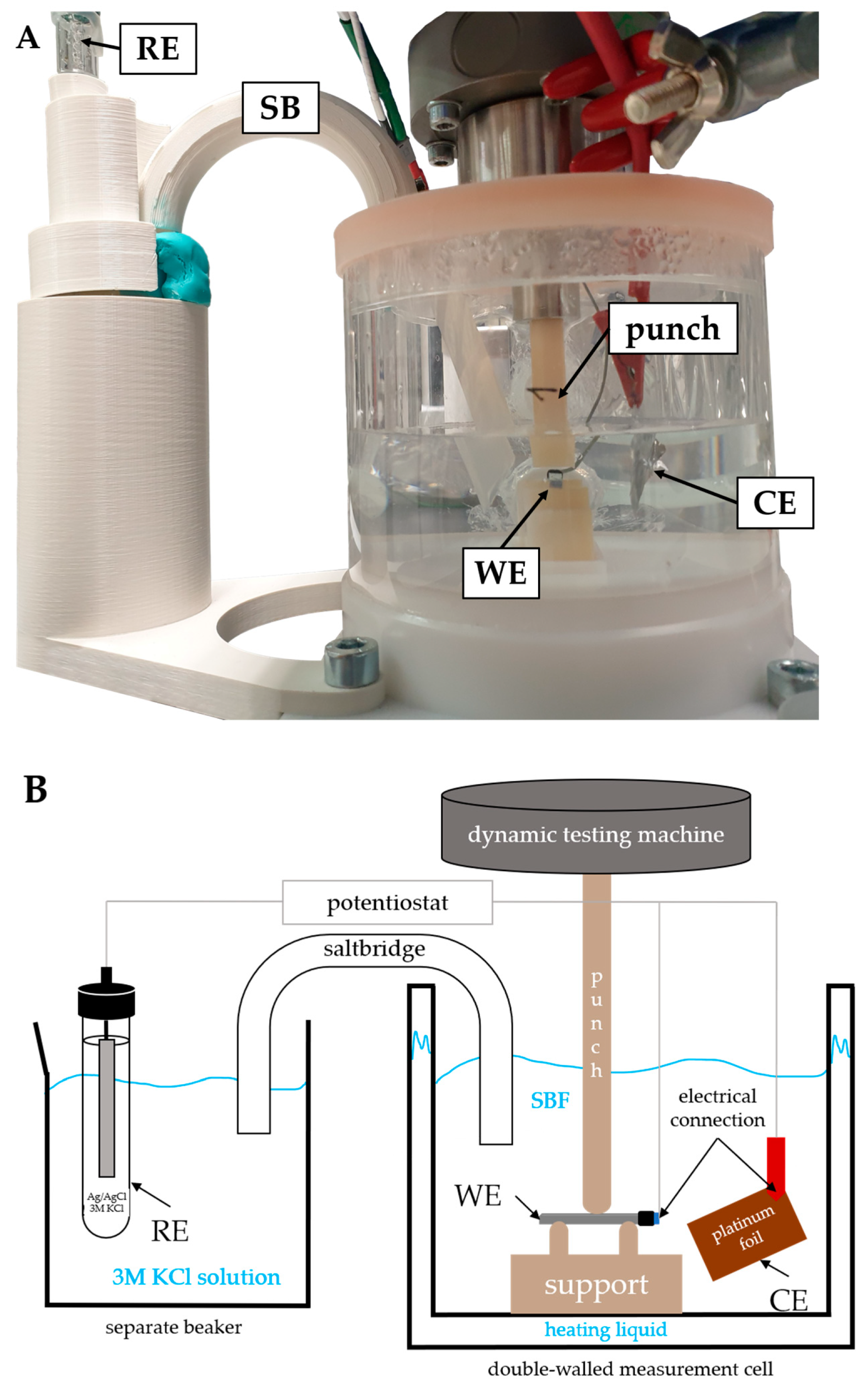 Materials 17 05146 g002
