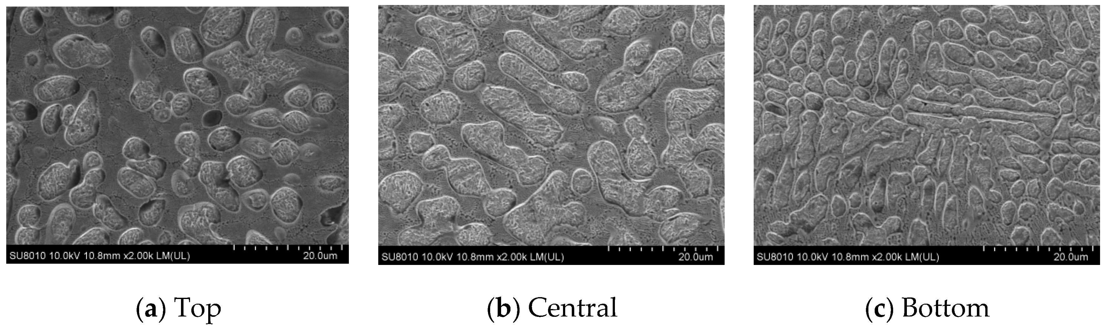 Materials 17 05158 g010