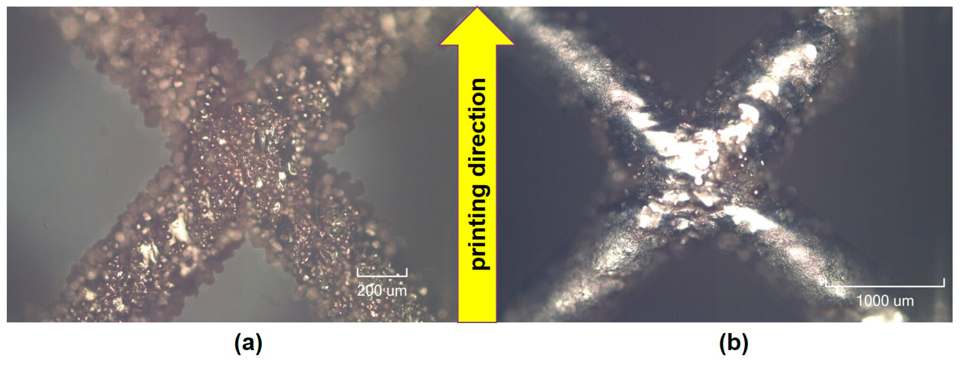 Materials 17 05167 g013