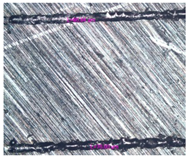 Materials 17 05167 i025