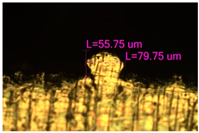 Materials 17 05167 i033