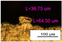 Materials 17 05167 i040