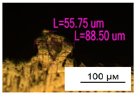 Materials 17 05167 i049