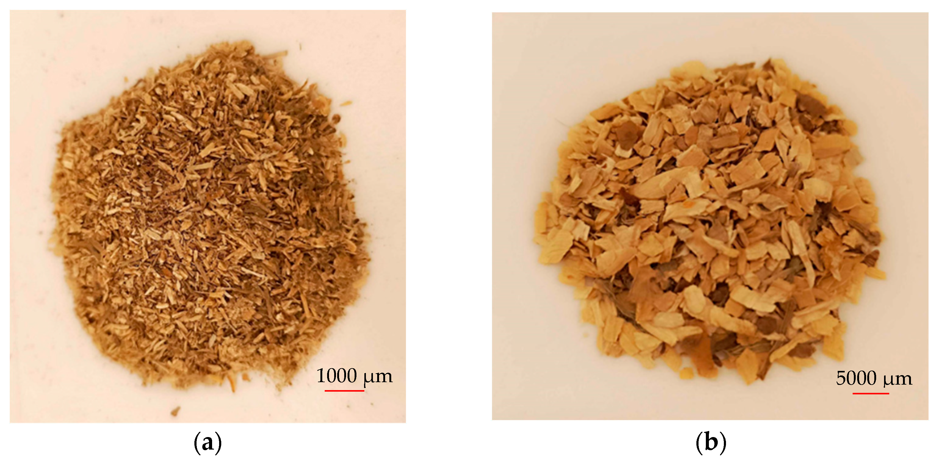 Materials 17 05177 g001a