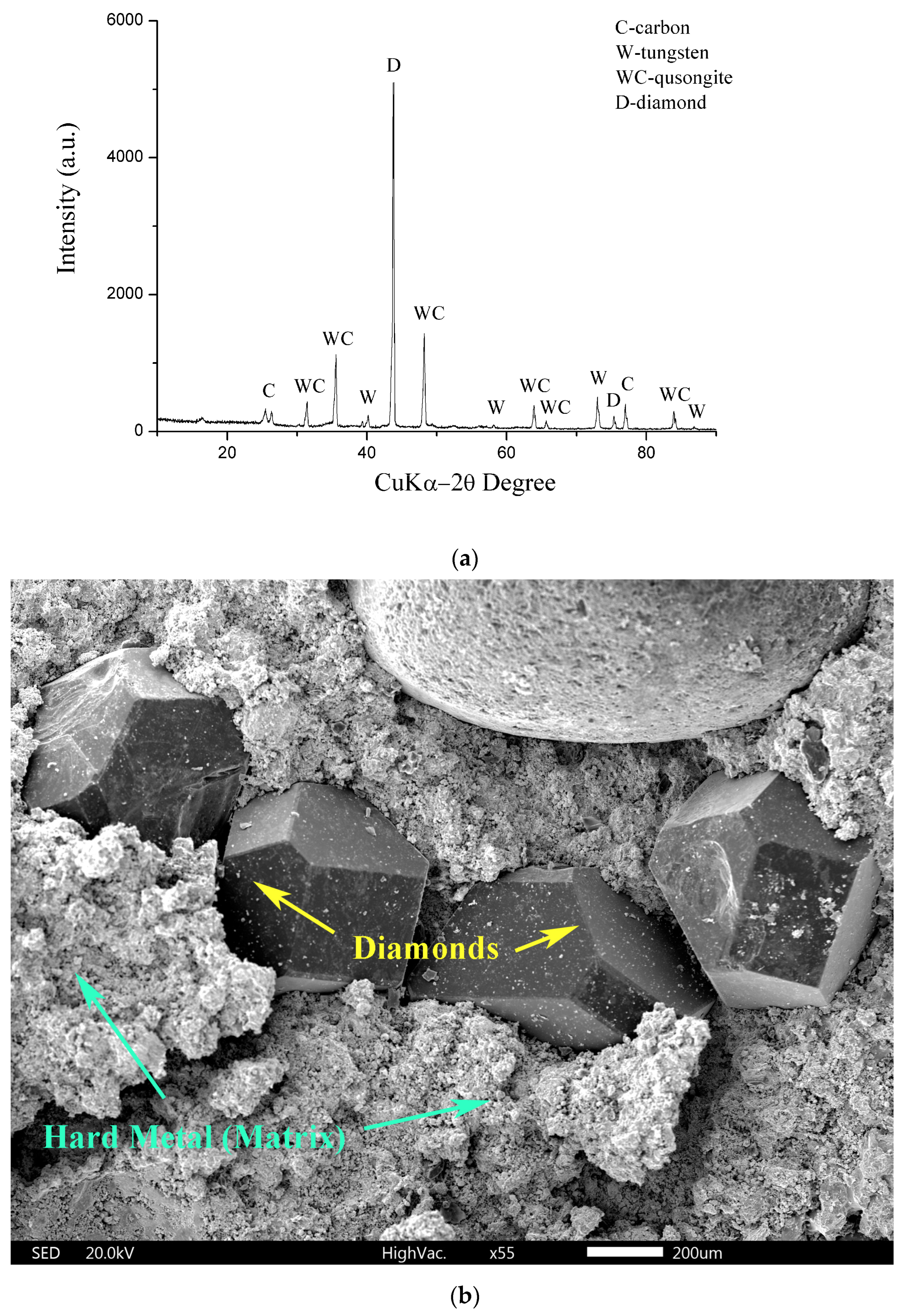 Materials 17 05179 g001a Materials 17 05179 g001a