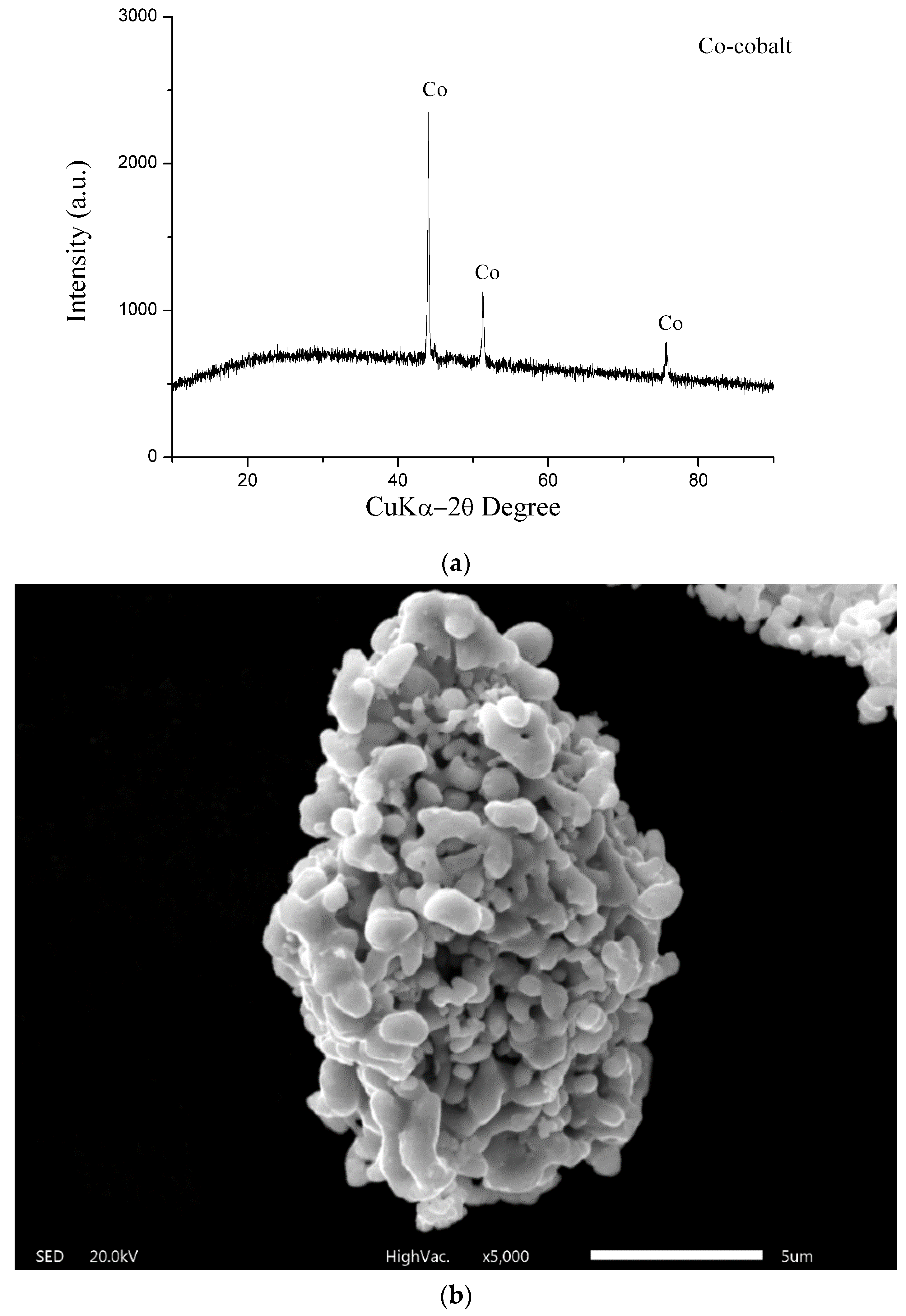 Materials 17 05179 g007a Materials 17 05179 g007a