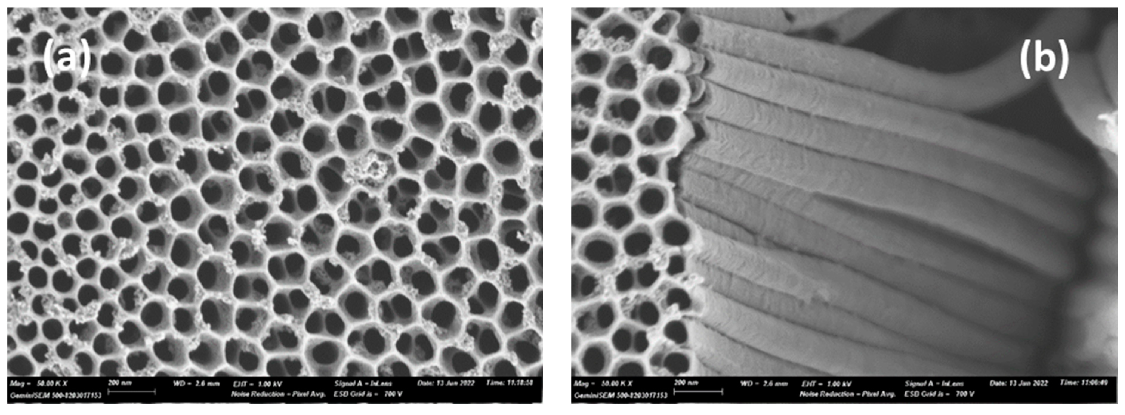 Materials 17 05182 g001a