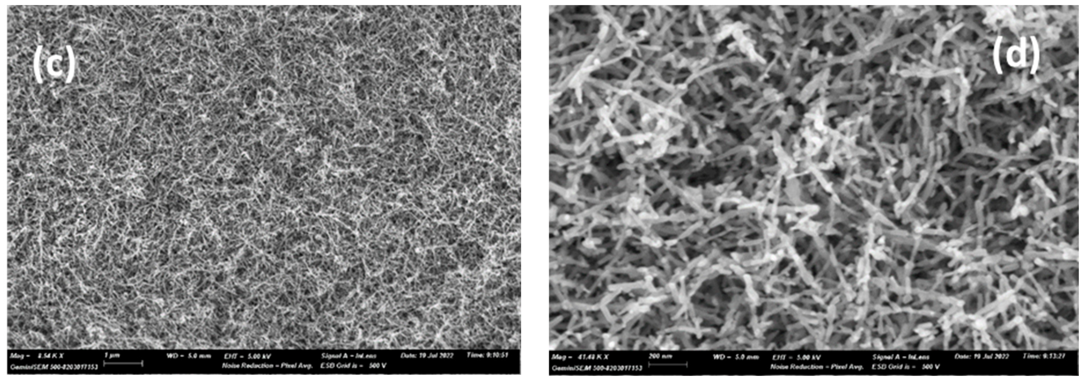 Materials 17 05182 g001b