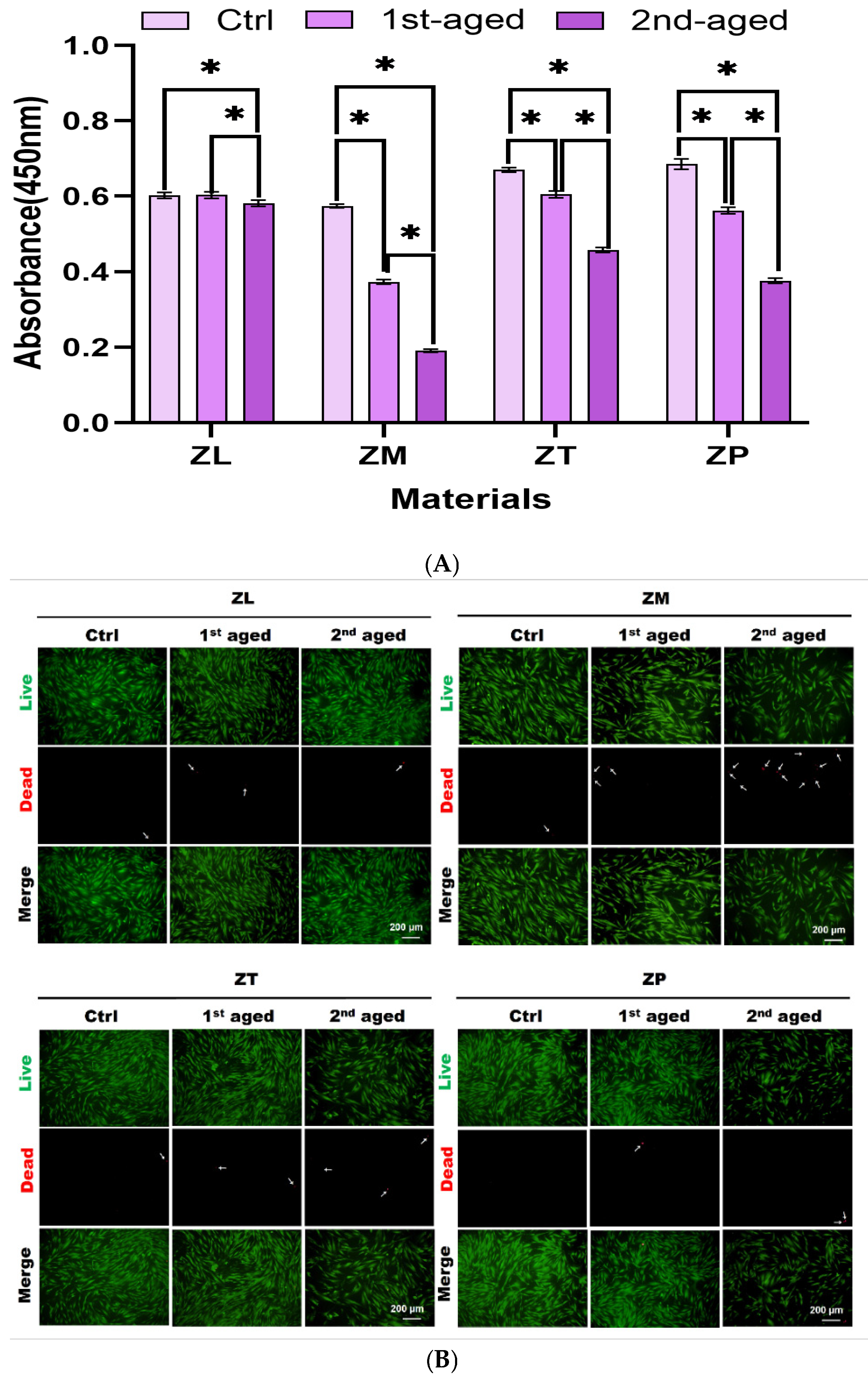 Materials 17 05189 g004