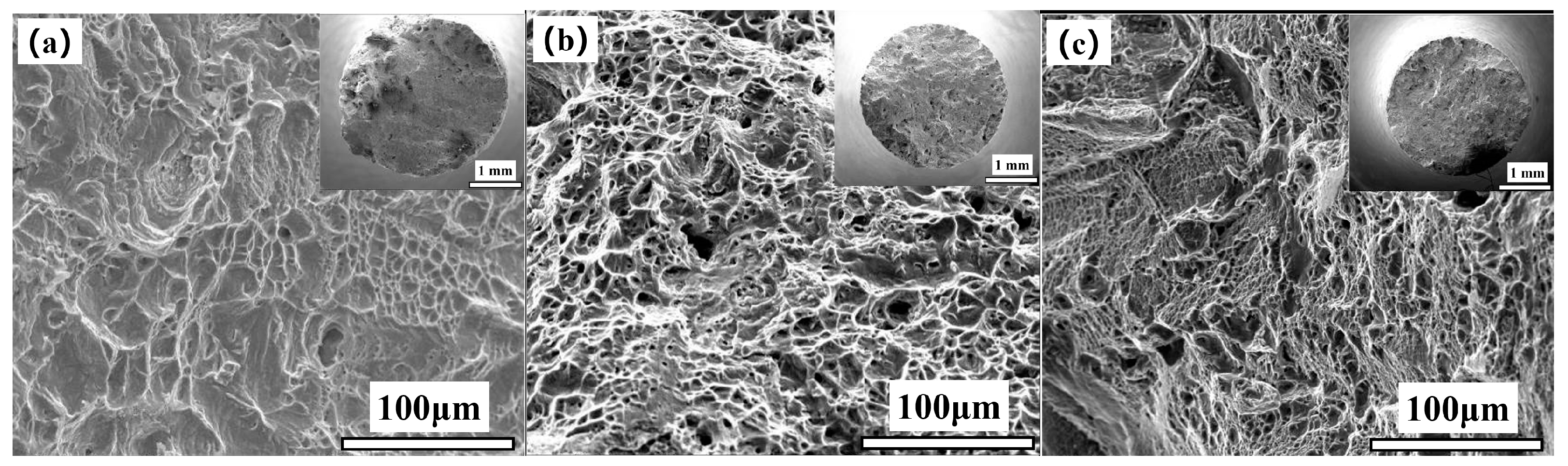 Materials 17 05228 g006